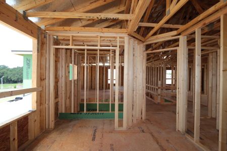 New construction Single-Family house 31801 Sapna Chime Drive, Wesley Chapel, FL 33545 Alenza- photo 46 46