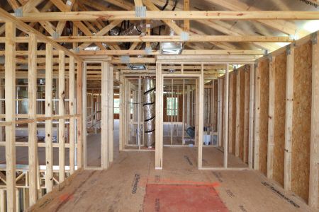 New construction Single-Family house 9635 Crescent Ray Drive, Wesley Chapel, FL 33545 Mira Lago- photo 41 41