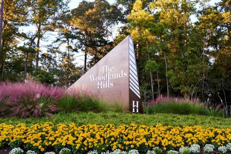 The Woodlands Hills by J. Patrick Homes in Willis - photo