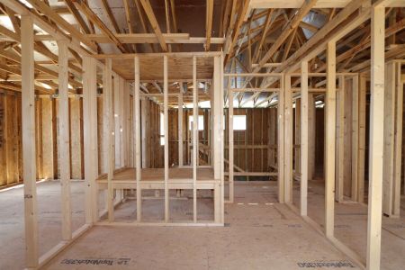 New construction Single-Family house 2868 Misty Marble Drive, Zephyrhills, FL 33540 Herrera- photo 19 19