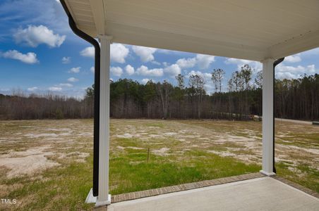 New construction Single-Family house 251 E Clydes Point Way, Wendell, NC 27591 Drayton- photo 22 22