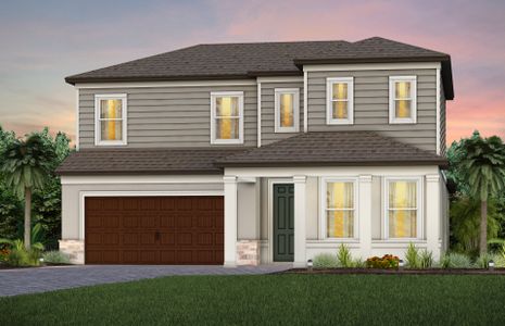 New construction Single-Family house Cypress Bend Drive, Wesley Chapel, FL 33545 - photo 3 3