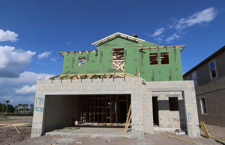 New construction Single-Family house 5238 Currant Street, Lakeland, FL 33811 Marina- photo 11 11