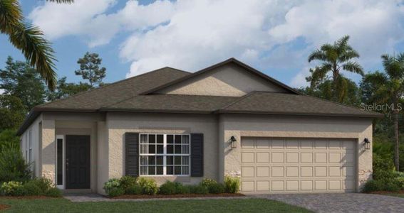 New construction Single-Family house 10633 New Morning Dr, Tampa, FL 33647 - photo 0