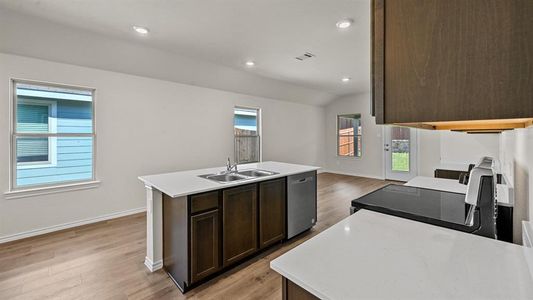 New construction Single-Family house 359 Vitex Drive, Royse City, TX 75189 - photo 13 13