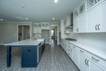 New construction Single-Family house 4039 Blind Flight Street, Charleston, SC 29492 - photo 19 19