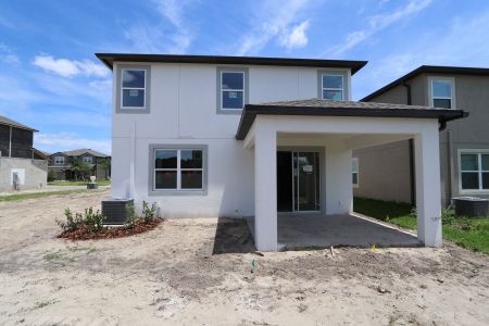 New construction Single-Family house 2463 Sunny Pebble Loop, Zephyrhills, FL 33540 Castellana- photo 110 110