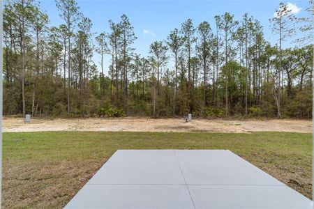 New construction Single-Family house 10189 Sw 131 Court, Dunnellon, FL 34432 - photo 26 26