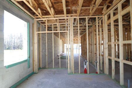 New construction Single-Family house 10614 New Morning Drive, Tampa, FL 33647 Grandsail  III- photo 28 28