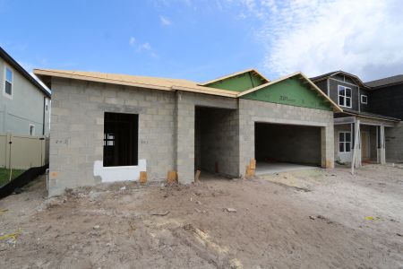 New construction Single-Family house 38173 Shale Stone Court, Zephyrhills, FL 33540 Miranda- photo 18 18
