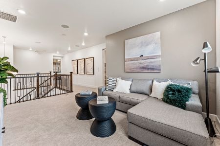 New construction Single-Family house 16622 Dry Camp Drive, Parker, CO 80134 Steamboat | A Multi-Gen Home- photo 43 43