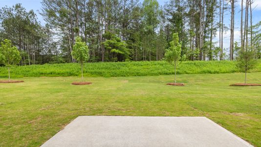 New construction Single-Family house 516 Whitman Lane, Stockbridge, GA 30281 Galen- photo 44 44