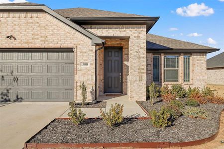New construction Single-Family house 500 Paloma Street, Weatherford, TX 76087 - photo 15 15