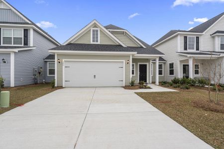 Windsor Crossing by Dream Finders Homes in North Charleston - photo 2 2
