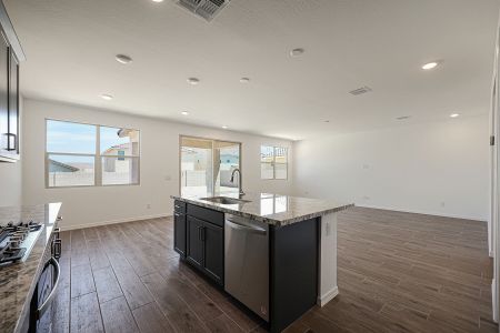 New construction Single-Family house 4292 W Sebastian Ln, San Tan Valley, AZ 85142 Lagoon- photo 50 50