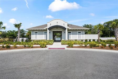 New construction Townhouse house 4282 Cloud Hopper Way, Lutz, FL 33559 - photo 29 29