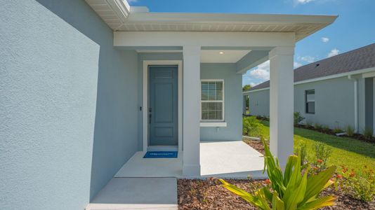 New construction Single-Family house 14551 Skipping Stone Loop, Parrish, FL 34219 Dream 2- photo 3 3