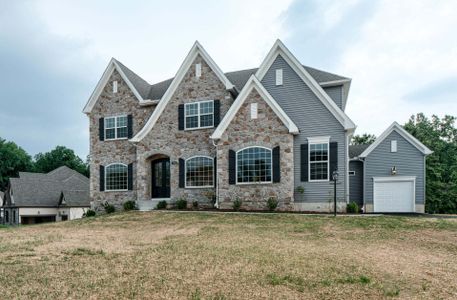New construction Single-Family house Wilbanks Drive, Charlotte, NC 28278 - photo 356 356