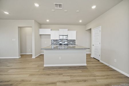 New construction Single-Family house 13003 Red Elks Lks, Saint Hedwig, TX 78152 Leon- photo