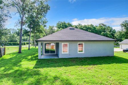 New construction Single-Family house 906 Trailwood Drive, Apopka, FL 32712 - photo 25 25