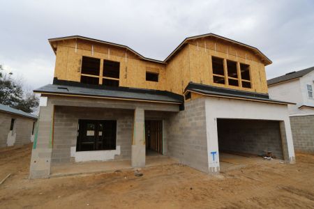New construction Single-Family house 12114 Hilltop Farms Drive, Dade City, FL 33525 Alenza- photo 26 26