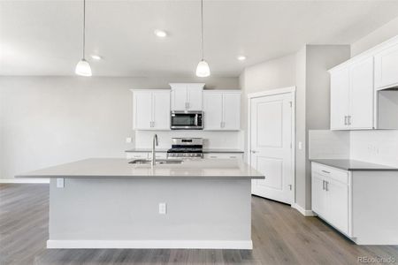 New construction Single-Family house 18165 Prince Hill Circle, Parker, CO 80134 HENLEY- photo 14 14