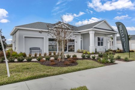 New construction Single-Family house 1620 Lake Reserve Drive, Deland, FL 32724 - photo 0 0