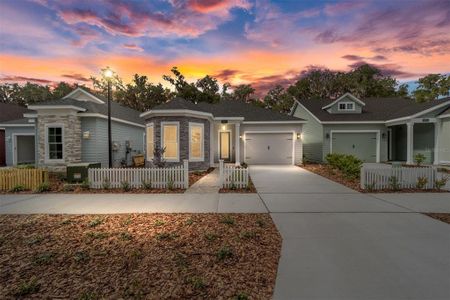 New construction Single-Family house 1080 Nw 132Nd Boulevard, Newberry, FL 32669 - photo 1 1