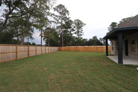 New construction Single-Family house 21954 Burgos Plaza Drive, Tomball, TX 77377 Rosemary- photo 20 20