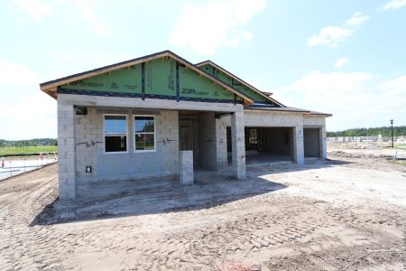 New construction Single-Family house 10609 New Morning Drive, Tampa, FL 33647 Corina  III Bonus- photo