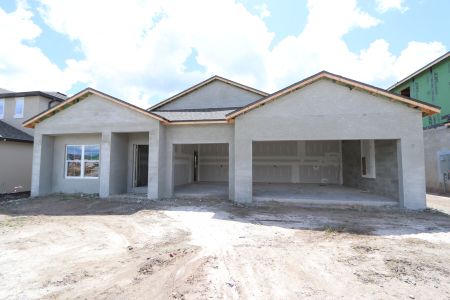 New construction Single-Family house 32568 Sapna Chime Drive, Wesley Chapel, FL 33545 Barcello- photo 37 37