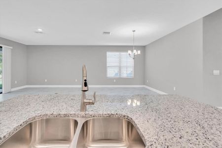 New construction Single-Family house 11389 Weaver Hollow Rd, New Port Richey, FL 34654 Salerno- photo 5 5