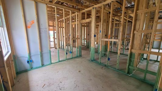 New construction Single-Family house 919 Palo Brea Loop, Hutto, TX 78634 Livingston Homeplan- photo 32 32