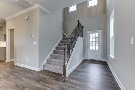 New construction Single-Family house 317 O'Malley Drive, Summerville, SC 29483 - photo 19 19