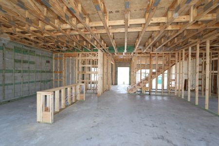 New construction Single-Family house 31801 Sapna Chime Drive, Wesley Chapel, FL 33545 Alenza- photo 44 44