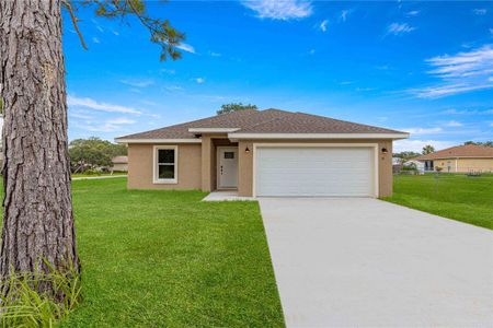 New construction Single-Family house 41 Hickory Loop Way, Ocala, FL 34472 - photo 0