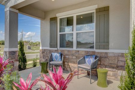 Scenic Terrace by Stanley Martin Homes in Haines City - photo 11 11