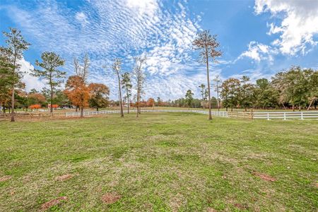 New construction Single-Family house 6527 Clark Rd, Waller, TX 77484 - photo 43 43