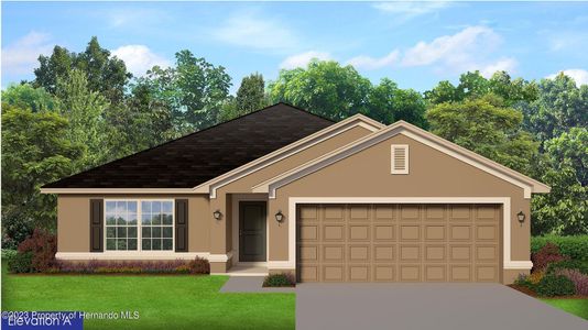 New construction Single-Family house 12492 Pine Bluff Street, Spring Hill, FL 34609 1970- photo 0