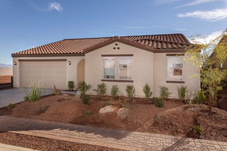 New construction Single-Family house 1469 East Fleet Place, Casa Grande, AZ 85122 - photo 0