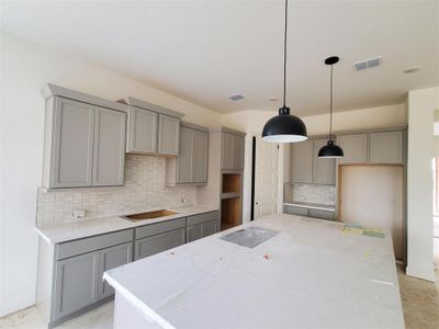 New construction Single-Family house 1604 Scenic Heights Ln, Georgetown, TX 78628 Classic Series - Cornell- photo 3 3
