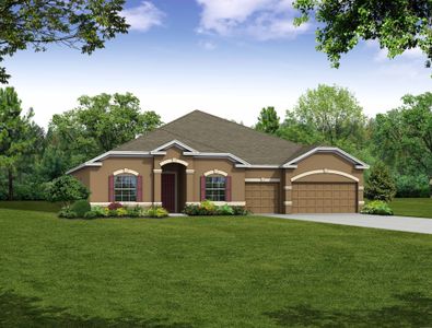 New construction Single-Family house Bradford Ridge Drive, Leesburg, FL 34748 - photo 2 2