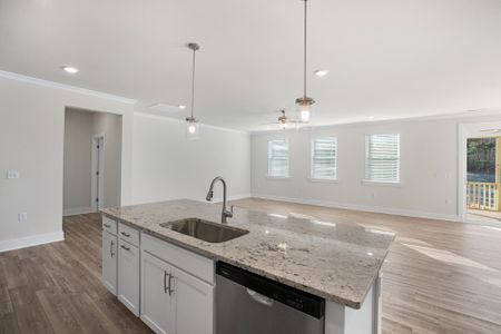 New construction Single-Family house Ennis Road, Angier, NC 27501 - photo 19