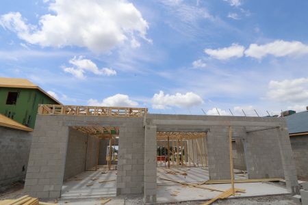 New construction Single-Family house 31801 Sapna Chime Drive, Wesley Chapel, FL 33545 Alenza- photo 6 6