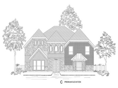New construction Single-Family house 12515 Dove Chase Lane, Frisco, TX 75035 - photo 3 3