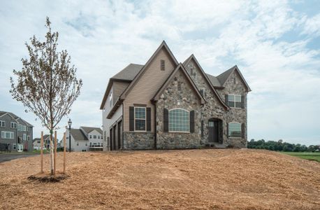 New construction Single-Family house Wilbanks Drive, Charlotte, NC 28278 - photo 139 139