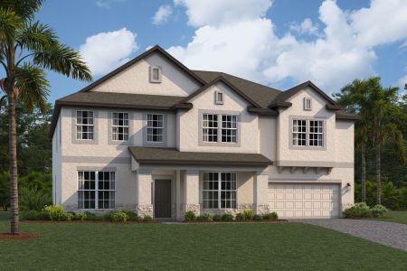 New construction Single-Family house 10805 Rolling Moss Road, Tampa, FL 33647 - photo 9 9
