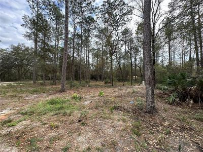 New construction Manufactured Home house 7020 Sw 156 Place, Dunnellon, FL 34432 - photo 20 20