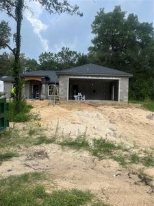 New construction Single-Family house 19610 Sw 93Rd Place, Dunnellon, FL 34432 - photo 1 1