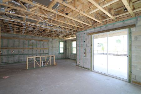 New construction Single-Family house 5254 Currant Street, Lakeland, FL 33811 Marina- photo 46 46
